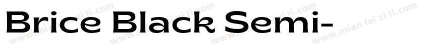 Brice Black Semi字体转换